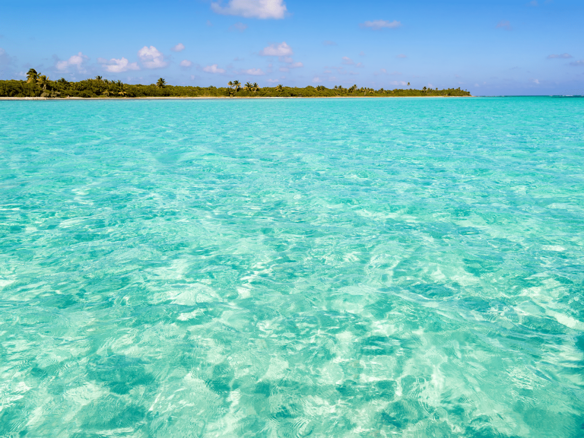 day trips from the Riviera Maya
